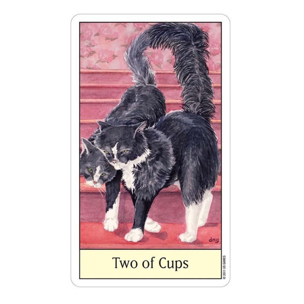Kediler göz Tarot 12x7 cm kart - Tarot Deck With Guidebook incelemesi ve fiyatı