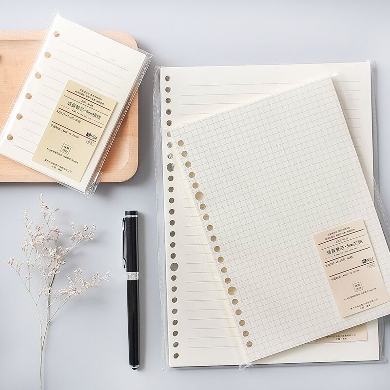 A5 B5 20 Delik Gevşek Yaprak D - A5 Spiral Dotted Grid Notebook incelemesi ve fiyatı